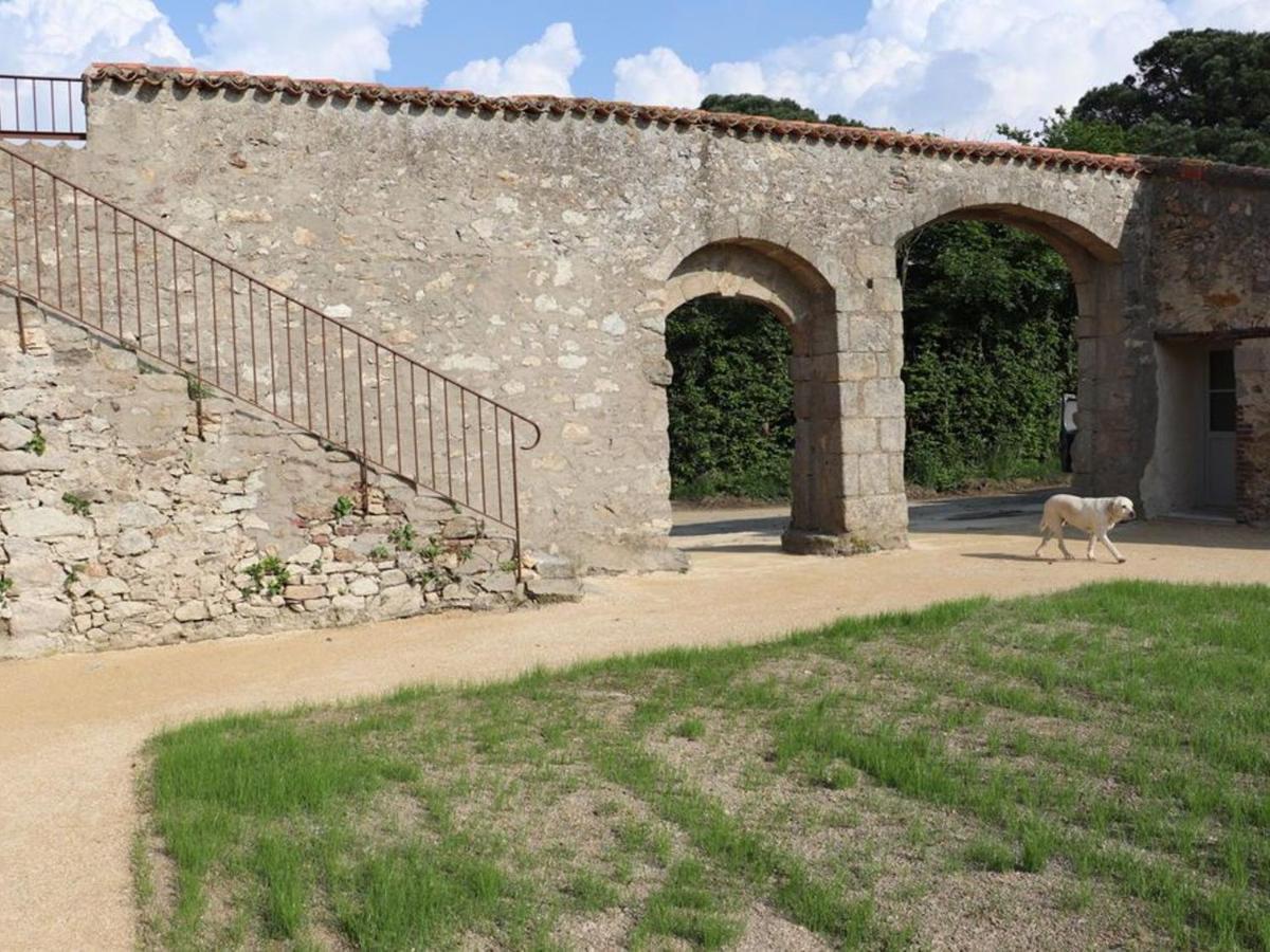 Gite 18Eme Renove Avec Piscine Couverte, Terrasse, Loisirs Et Wifi - 6 Pers. - Fr-1-426-432 Les Herbiers Bagian luar foto